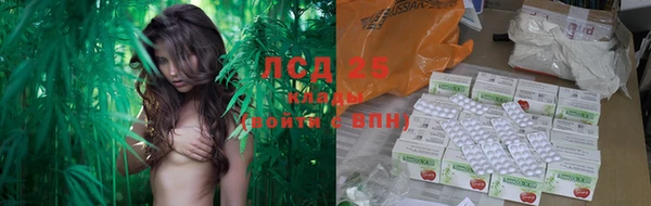 MESCALINE Дмитровск