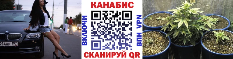 Каннабис SATIVA & INDICA  Нижнеудинск 